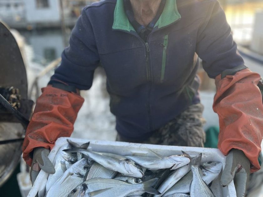 Older fisherman in a dark jacket and orange waterproof sleeves holding a white crate packed with silver fish